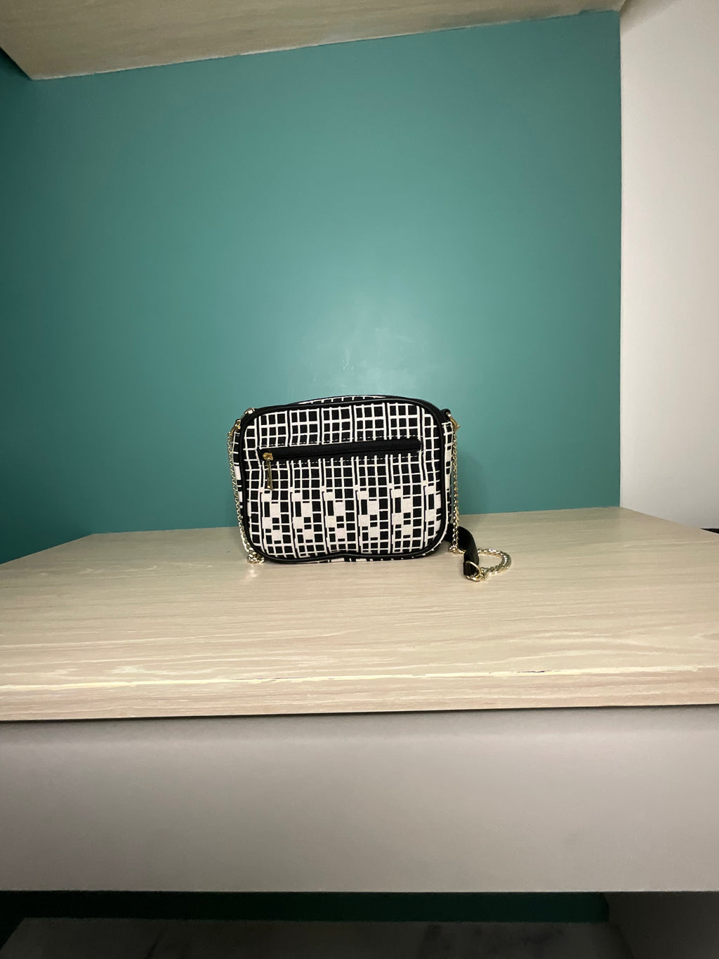 Double Compartment Sing Bag
