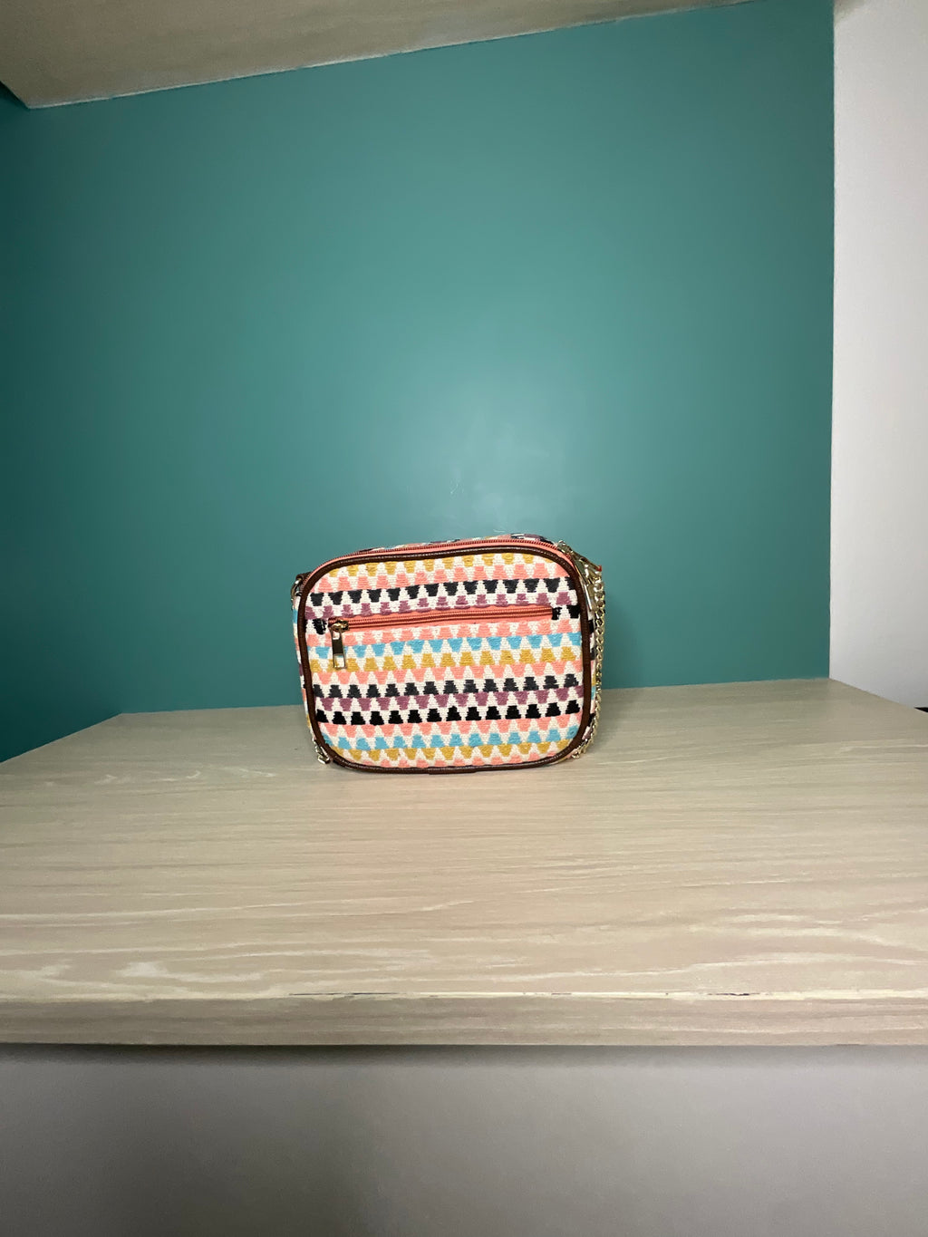 Double Compartment Sing Bag