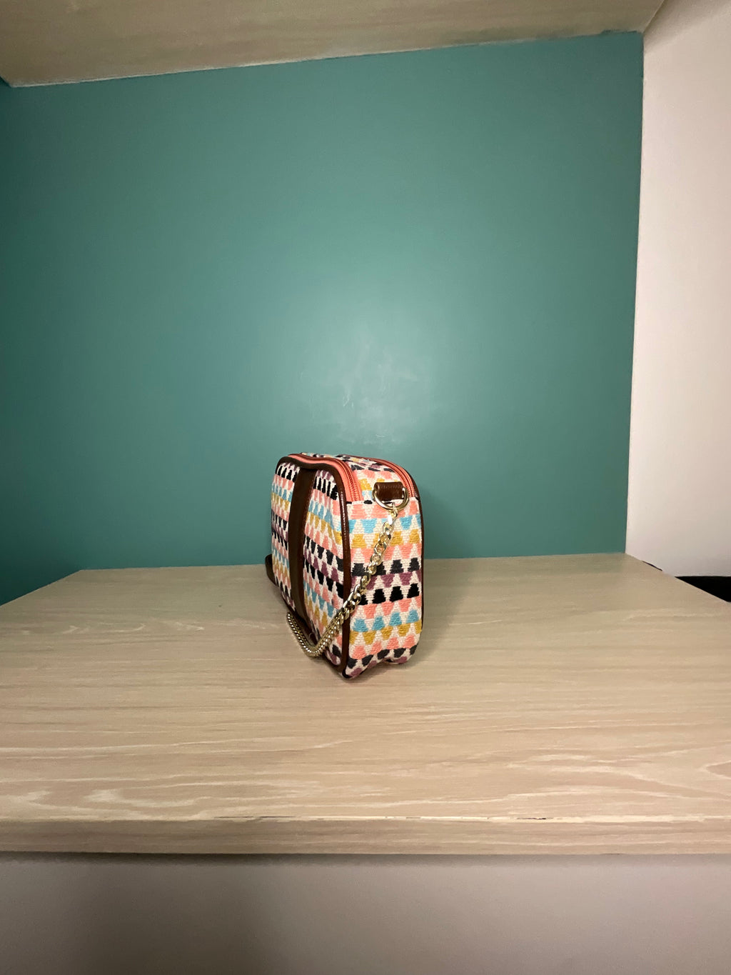 Double Compartment Sing Bag