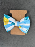 Hair Bow Clip