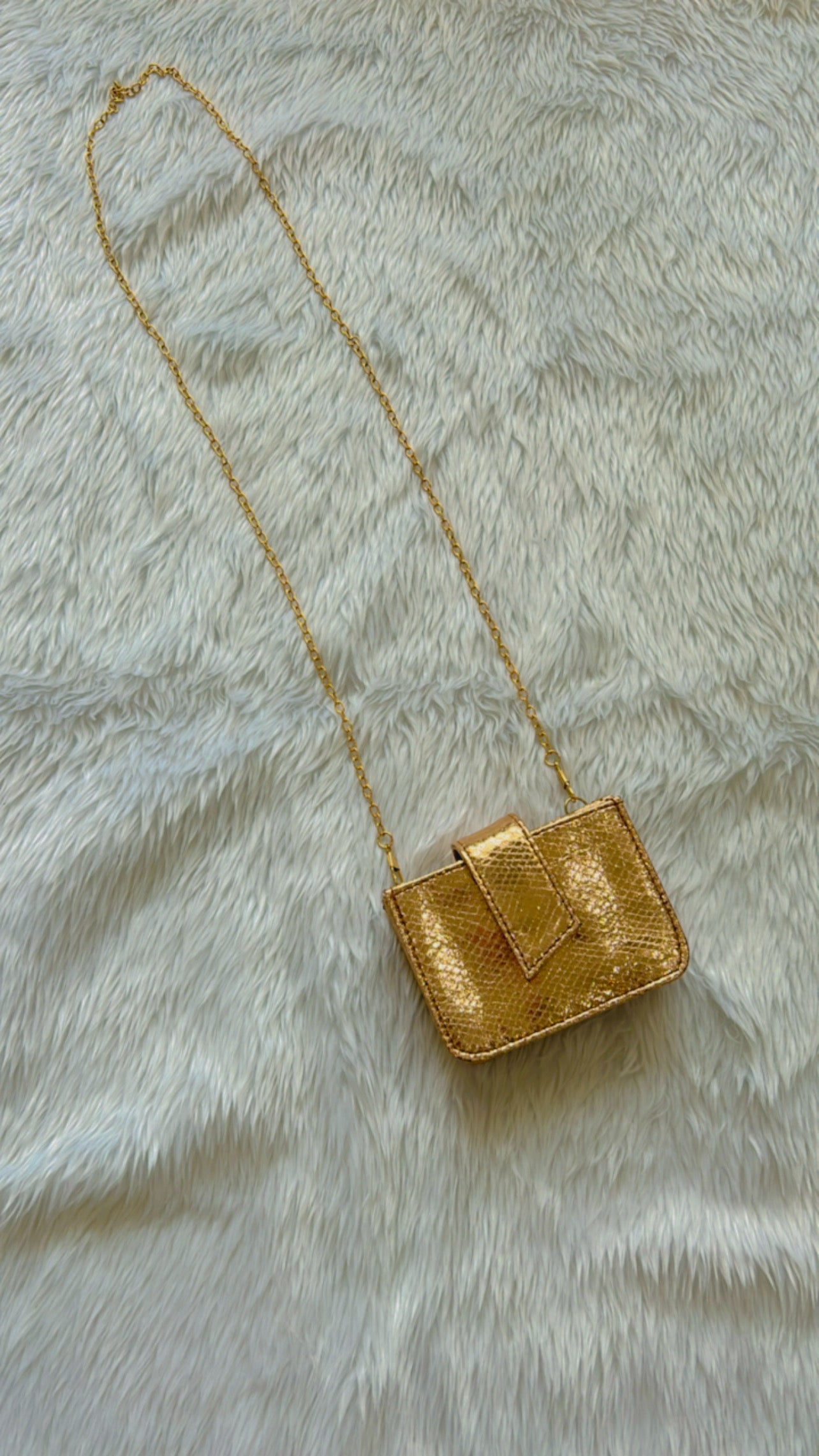 Party Purse